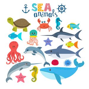 Animal Art: Sea Crea